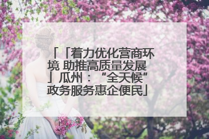 「着力优化营商环境 助推高质量发展」瓜州：“全天候”政务服务惠企便民