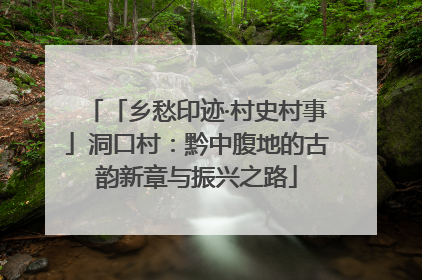 「乡愁印迹·村史村事」洞口村：黔中腹地的古韵新章与振兴之路