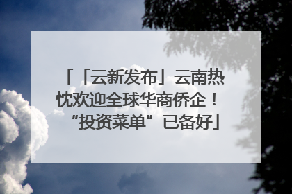 「云新发布」云南热忱欢迎全球华商侨企！“投资菜单”已备好