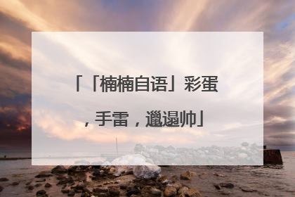 「楠楠自语」彩蛋，手雷，邋遢帅