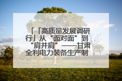 「高质量发展调研行」从“面对面”到“肩并肩”——甘肃全利电力装备生产制造项目一线见闻