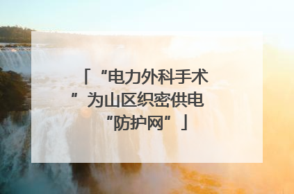 “电力外科手术”为山区织密供电“防护网”