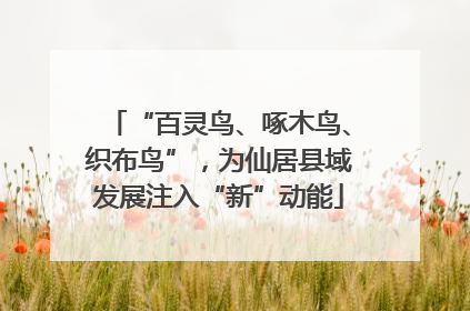 “百灵鸟、啄木鸟、织布鸟”，为仙居县域发展注入“新”动能