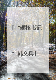 “硬核书记”韩文兵