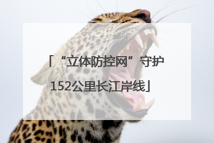 “立体防控网”守护152公里长江岸线
