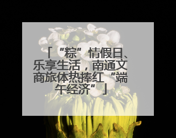 “粽”情假日、乐享生活，南通文商旅体热捧红“端午经济”