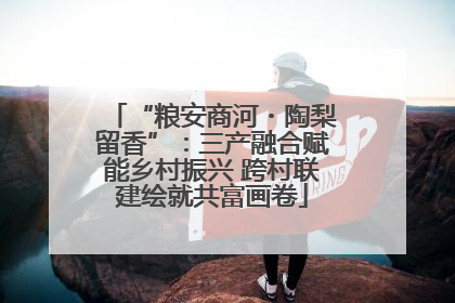 “粮安商河・陶梨留香”：三产融合赋能乡村振兴 跨村联建绘就共富画卷