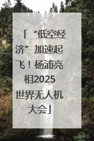 “低空经济”加速起飞！杨浦亮相2025世界无人机大会