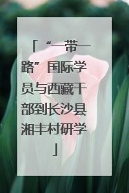 “一带一路”国际学员与西藏干部到长沙县湘丰村研学