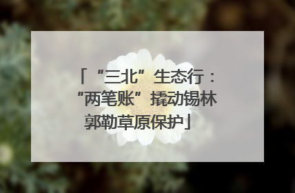 “三北”生态行：“两笔账”撬动锡林郭勒草原保护