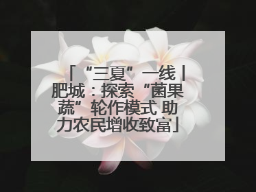 “三夏”一线丨肥城：探索“菌果蔬”轮作模式 助力农民增收致富