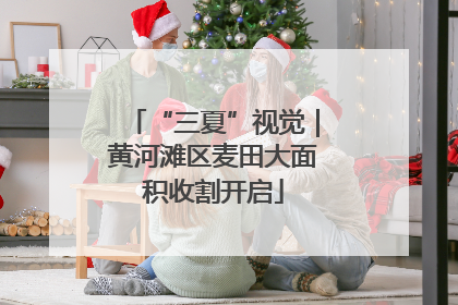 “三夏”视觉｜黄河滩区麦田大面积收割开启