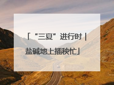 “三夏”进行时｜盐碱地上插秧忙