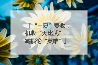 “三夏”麦收：机收“大比武” 减损论“英雄”