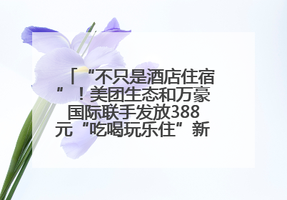 “不只是酒店住宿”！美团生态和万豪国际联手发放388元“吃喝玩乐住”新会员礼包