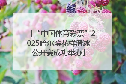 “中国体育彩票”2025哈尔滨花样滑冰公开赛成功举办
