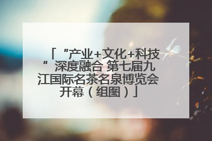 “产业+文化+科技”深度融合 第七届九江国际名茶名泉博览会开幕（组图）