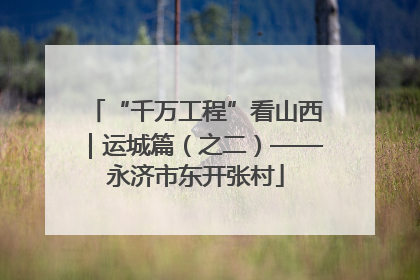 “千万工程”看山西｜运城篇（之二）——永济市东开张村