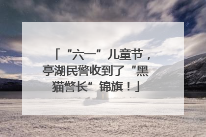 “六一”儿童节，亭湖民警收到了“黑猫警长”锦旗！