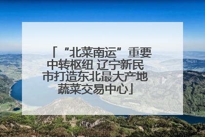 “北菜南运”重要中转枢纽 辽宁新民市打造东北最大产地蔬菜交易中心