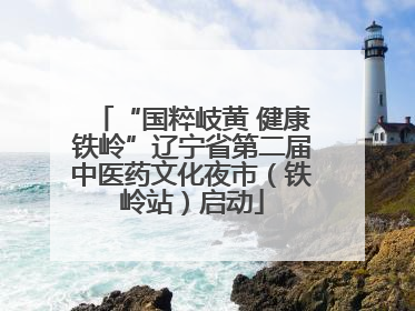 “国粹岐黄 健康铁岭”辽宁省第二届中医药文化夜市（铁岭站）启动