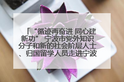 “循迹再奋进 同心建新功” 宁波市党外知识分子和新的社会阶层人士、归国留学人员走进宁波舟山港穿山港区