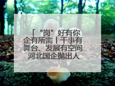 “岗”好有你 企有所需丨干事有舞台、发展有空间 河北国企抛出人才“橄榄枝”