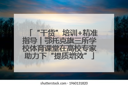 “干货”培训+精准指导丨鄂托克旗三所学校体育课堂在高校专家助力下“提质增效”