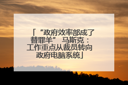 “政府效率部成了替罪羊” 马斯克：工作重点从裁员转向政府电脑系统