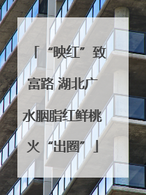 “映红”致富路 湖北广水胭脂红鲜桃火“出圈”