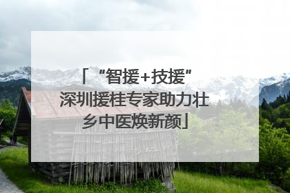 “智援+技援” 深圳援桂专家助力壮乡中医焕新颜