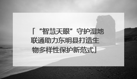 “智慧天眼”守护湿地 联通助力东明县打造生物多样性保护新范式