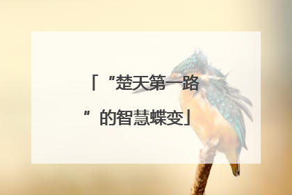 “楚天第一路”的智慧蝶变