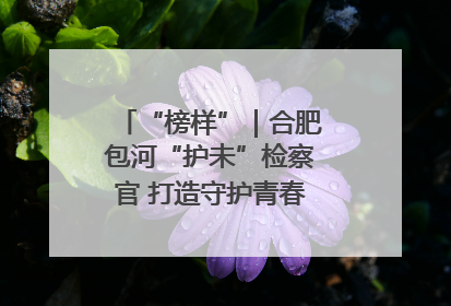 “榜样”｜合肥包河“护未”检察官 打造守护青春成长的永恒灯塔