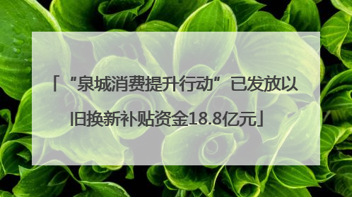 “泉城消费提升行动”已发放以旧换新补贴资金18.8亿元