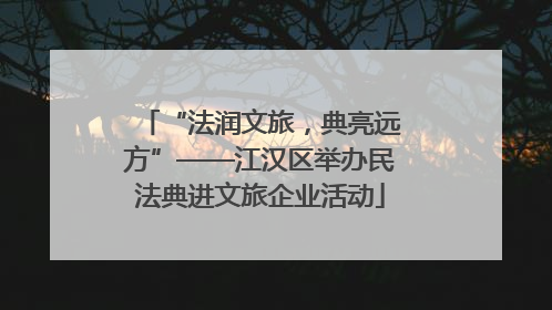 “法润文旅，典亮远方”——江汉区举办民法典进文旅企业活动
