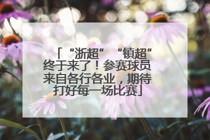 “浙超”“镇超”终于来了！参赛球员来自各行各业，期待打好每一场比赛