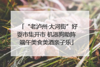 “老泸州·大河街”好耍市集开市 机器狗助阵端午美食美酒亲子乐
