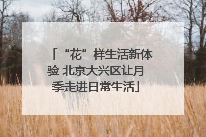 “花”样生活新体验 北京大兴区让月季走进日常生活