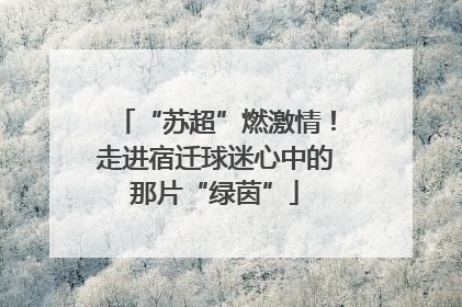 “苏超”燃激情！走进宿迁球迷心中的那片“绿茵”