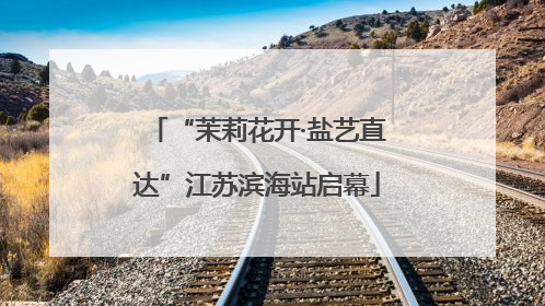 “茉莉花开·盐艺直达”江苏滨海站启幕