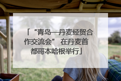 “青岛—丹麦经贸合作交流会” 在丹麦首都哥本哈根举行