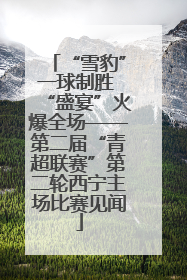 “雪豹”一球制胜 “盛宴”火爆全场——第二届“青超联赛”第二轮西宁主场比赛见闻
