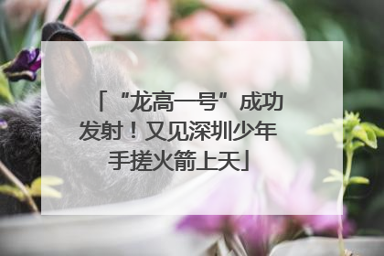 “龙高一号”成功发射！又见深圳少年手搓火箭上天