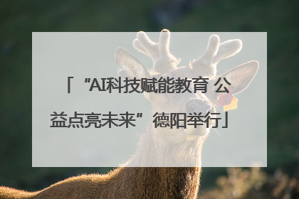 “AI科技赋能教育 公益点亮未来”德阳举行