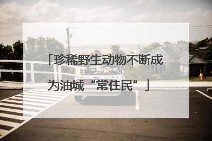 珍稀野生动物不断成为油城“常住民”