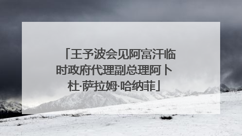 王予波会见阿富汗临时政府代理副总理阿卜杜·萨拉姆·哈纳菲