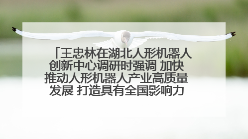 王忠林在湖北人形机器人创新中心调研时强调 加快推动人形机器人产业高质量发展 打造具有全国影响力的研发创新基地