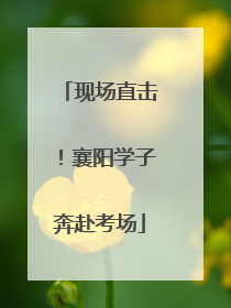 现场直击！襄阳学子奔赴考场