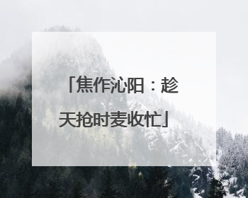 焦作沁阳：趁天抢时麦收忙